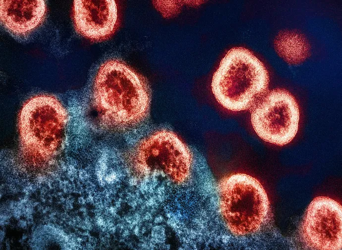 Células vistas al microscopio de fluorescencia