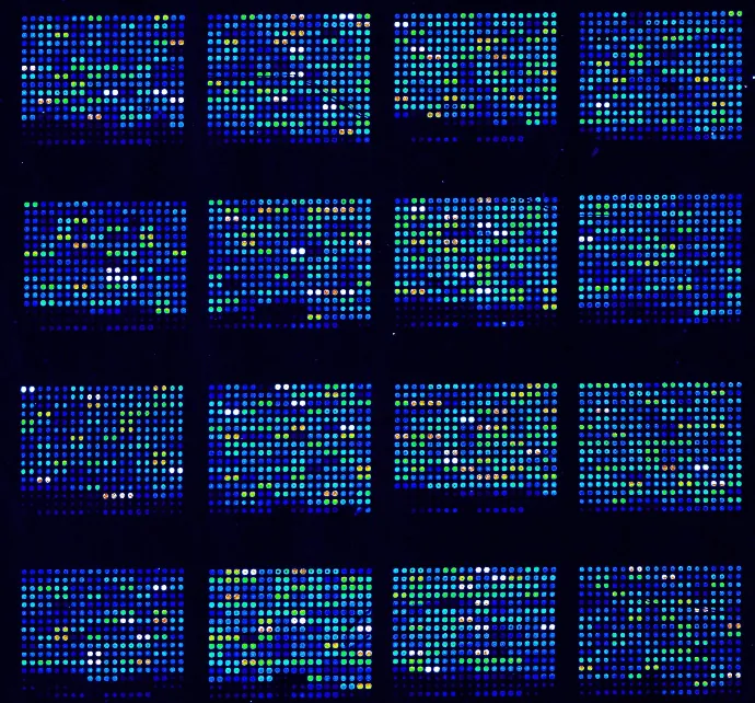 Array de anticuerpos en membrana para la detección simultánea de múltiples biomarcadores
